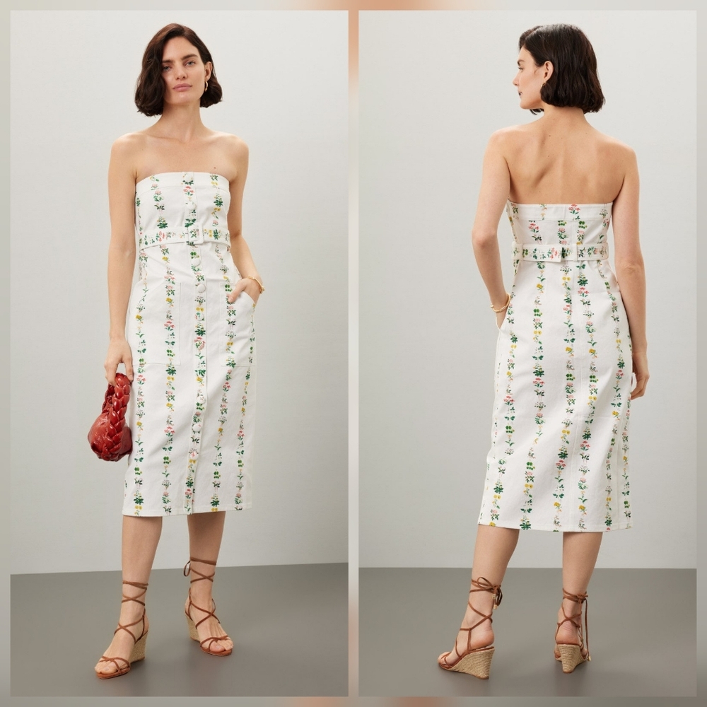 Adam Lippes Strapless Printed Twill Dress Casual Sleeveless Strapless Size 6